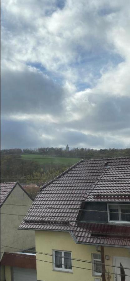 Schoene Ferienwohnung „Zum Glueck Tropical“ Eisenach Buitenkant foto